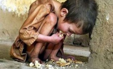 Каждый девятый житель планеты страдает от голода, - ООН