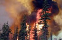 Отдыхающих в днепропетровских лесах могут привлечь к ответственности за пожары по фотографиям