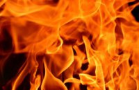 В Кривом Роге спасатели тушили пожар в гараже: огонь уничтожил 100 кв. м