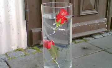Как сохранить дольше срезанные розы