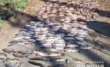 На Днепропетровщине браконьеры за день выловили около 500 штук различной рыбы