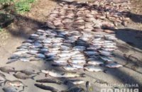 На Днепропетровщине браконьеры за день выловили около 500 штук различной рыбы