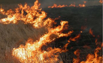  В Сумской области пенсионерка погибла в собственном дворе, сжигая сухую траву