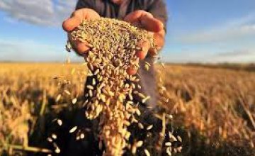 Аграрии Днепропетровщины собрали уже 2 млн тонн зерна