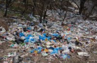 Горсовет: «В стихийных свалках мусора виновны жители города и коммерческие предприятия»