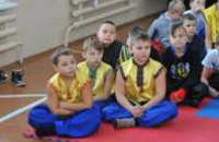 20 июня в Днепропетровске открывается бесплатный детский патриотический лагерь «Укропчик»