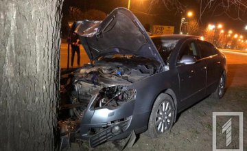 ​На Днепропетровщине легковушка влетела в дерево: водитель уснул за рулем 