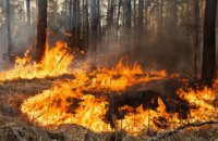 В этом году на Днепропетровщине произошло 7 лесных пожаров
