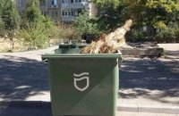 В Днепре в июле в мусорном баке заметили елку (ФОТО)