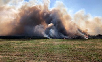 В Царичанском районе произошел масштабный пожар в экосистеме: сгорело 2 га камыша (ФОТО)