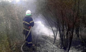 ​На Днепропетровщине горел лес