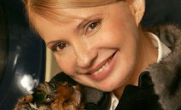 Тимошенко завела персональный блог