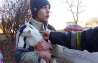 На Днепропетровщине спасли кота из критической ситуации