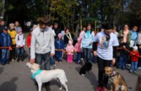 В Днепропетровске пройдет выставка беспородных собак
