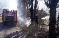 На Днепропетровщине спасатели ликвидировали возгорание сухой травы (ВИДЕО)