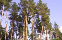 На Днепропетровщине запретили посещать леса