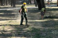 У Дніпрі для боротьби з амброзією використовують екологічну речовину, яка не шкодить іншим рослинам і комахам