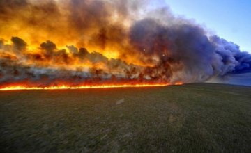 Причина пожаров - человеческий фактор: в ГСЧС сообщают о большом количестве возгораний в экосистемах Днепропетровщины 