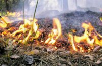 В Днепропетровской области горело 3 га лесной подстилки