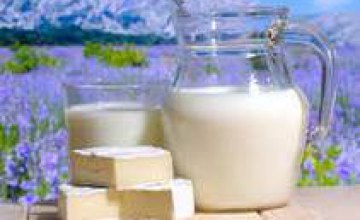 Ученые рассказали, как молочные продукты влияют на нашу память