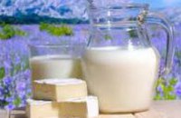 Ученые рассказали, как молочные продукты влияют на нашу память