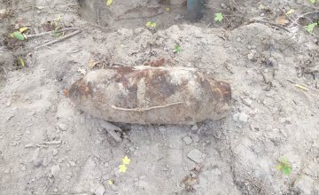 В Житомирской области грибник нашел в лесу 100-килограммовую бомбу