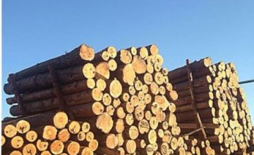  На Днепропетровщине СБУ разоблачила незаконную схему экспорта леса