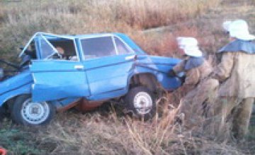 В Криничанском районе Днепропетровщины «Жигули» влетели в металлический забор: погиб водитель