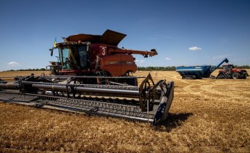 Днепропетровщина – в национальных лидерах по урожаю ранних зерновых