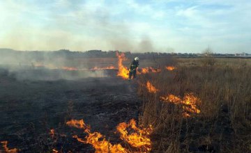 На Днепропетровщине за минувшие сутки произошло 4 пожара в экосистемах: спасатели призывают граждан не поджигать сухую траву (ФОТО)