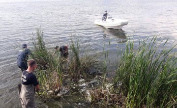 В Днепре на Набережной выловили двух пресмыкающихся 