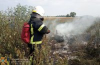 В Павлограде сгорело 2 га сухой травы (ФОТО)