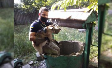 В Днепропетровской области спасли маленького козленка, провалившегося в колодец