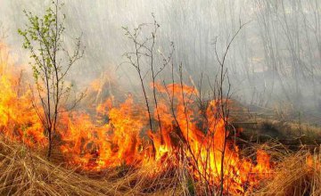 На Днепропетровщине объявлена высокая пожарная опасность