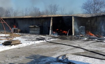 В Криворожском районе горел склад с мебелью: огнём уничтожено 300 кв. метров