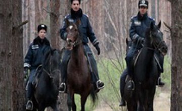 В Днепропетровской области зафиксирован первый случай «нападения» на елки