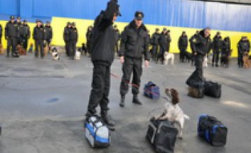 В Днепропетровске таможенные собаки обнаружили тайники с наркотиками, оружие и взрывчатку (ФОТО)