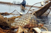 На Дніпропетровщині двоє браконьєрів наловили риби на понад 150 тисяч гривень