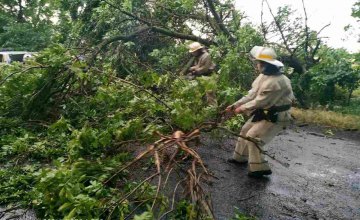 На Днепропетровщине спасли водителей, попавших в ловушку из-за упавших деревьев