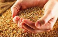 В Днепропетровской области началась уборка урожая зерновых