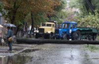 В Днепродзержинске непогода повалила деревья