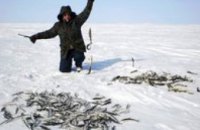 Днепропетровские рыбаки заняли первое место на Чемпионате мира по ловле рыбы в Финляндии