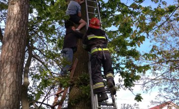 В Ровненской области спасатели сняли с дерева мужчину, который пытался снять кота