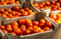 Агропідприємство Дніпропетровщини передало для захисників та переселенців майже 5 тонн томатів
