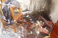 В Житомирской области из-за шалостей с огнем двое маленьких детей оказались в реанимации (ФОТО)