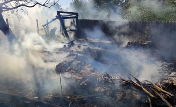 В Павлограде в результате возгорания сухостоя сгорела хозпостройка