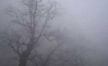 13 февраля в Украине ожидается сильный туман