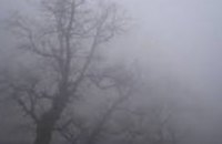 13 февраля в Украине ожидается сильный туман