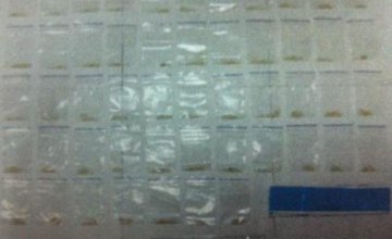 На Днепропетровщине задержали 20-летнюю «закладчицу» с полной сумкой метамфетамина