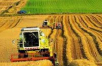 Днепропетровская область на 2% увеличила объемы сельхозпродукции